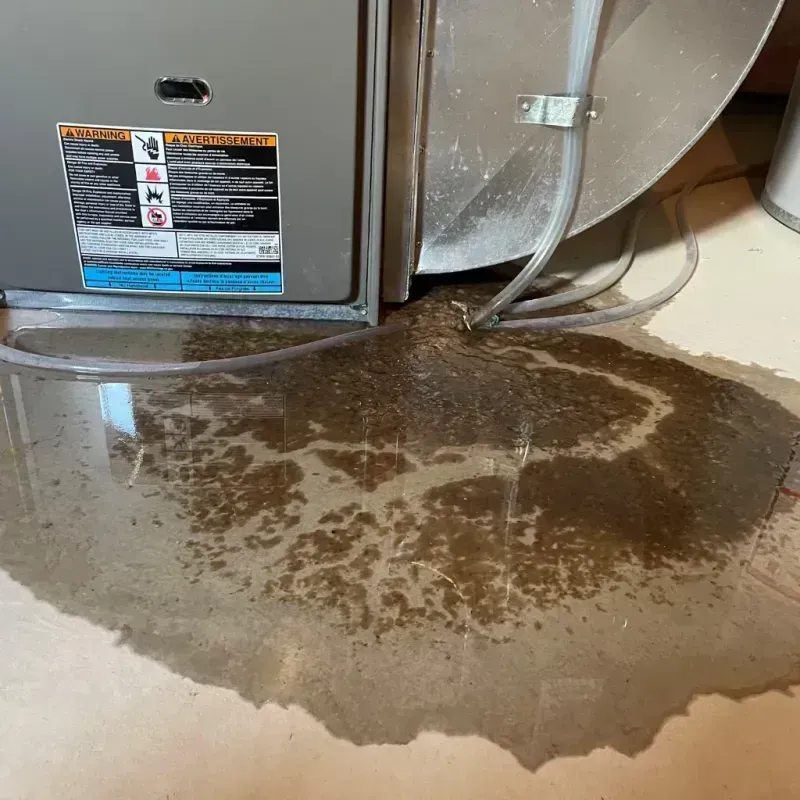 Appliance Leak Cleanup in Saukville, WI